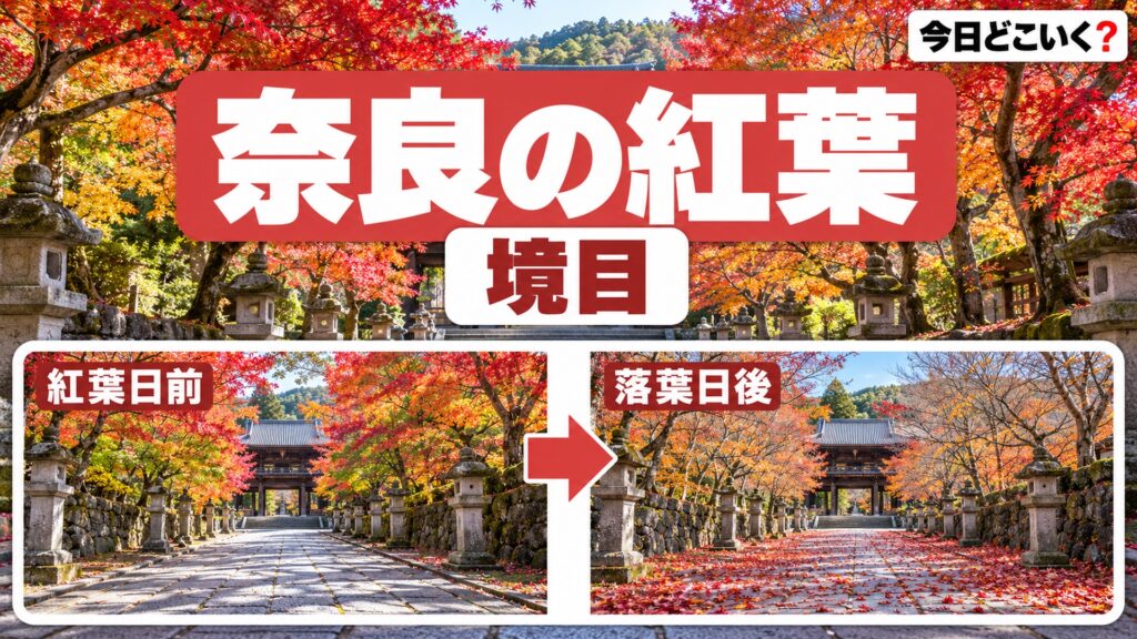 奈良の紅葉2026は近畿7地点で最も早く平年11月21日に色づく　図の中の文字: 紅葉日前、落葉日後