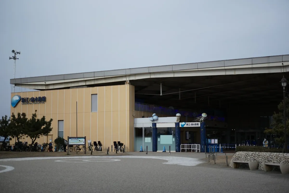 新江ノ島水族館の建物の外観と入口で、「新江ノ島水族館」の看板と自転車置き場が写る様子の写真