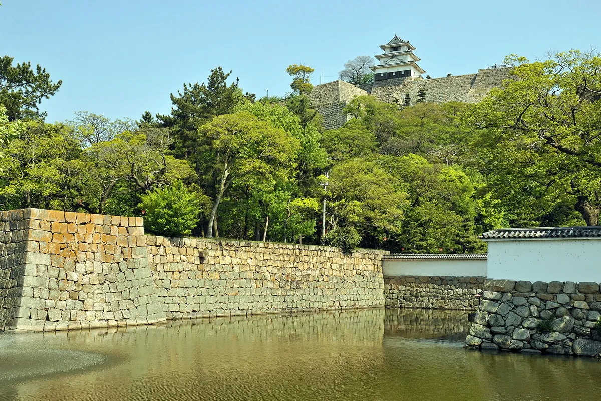 丸亀城の天守と石垣、堀の水面が木々の奥に見える様子の写真