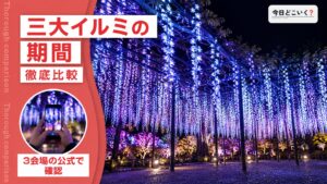 日本三大イルミネーションはどこ？2026年の期間と料金を比べた