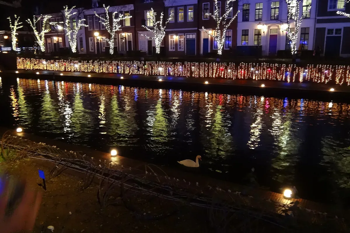 ハウステンボスの運河沿いの並木と建物が電飾で光り、水面に映っている夜の写真