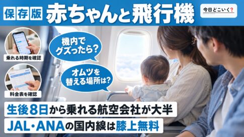 飛行機に乳児を乗せても大丈夫？コツを押さえて安心な空の旅へ　図の中の文字: 赤ちゃんと飛行機、生後8日から乗れる航空会社が大半、JAL・ANAの国内線は膝上無料、機内でグズったら？、オムツを替える場所は？
