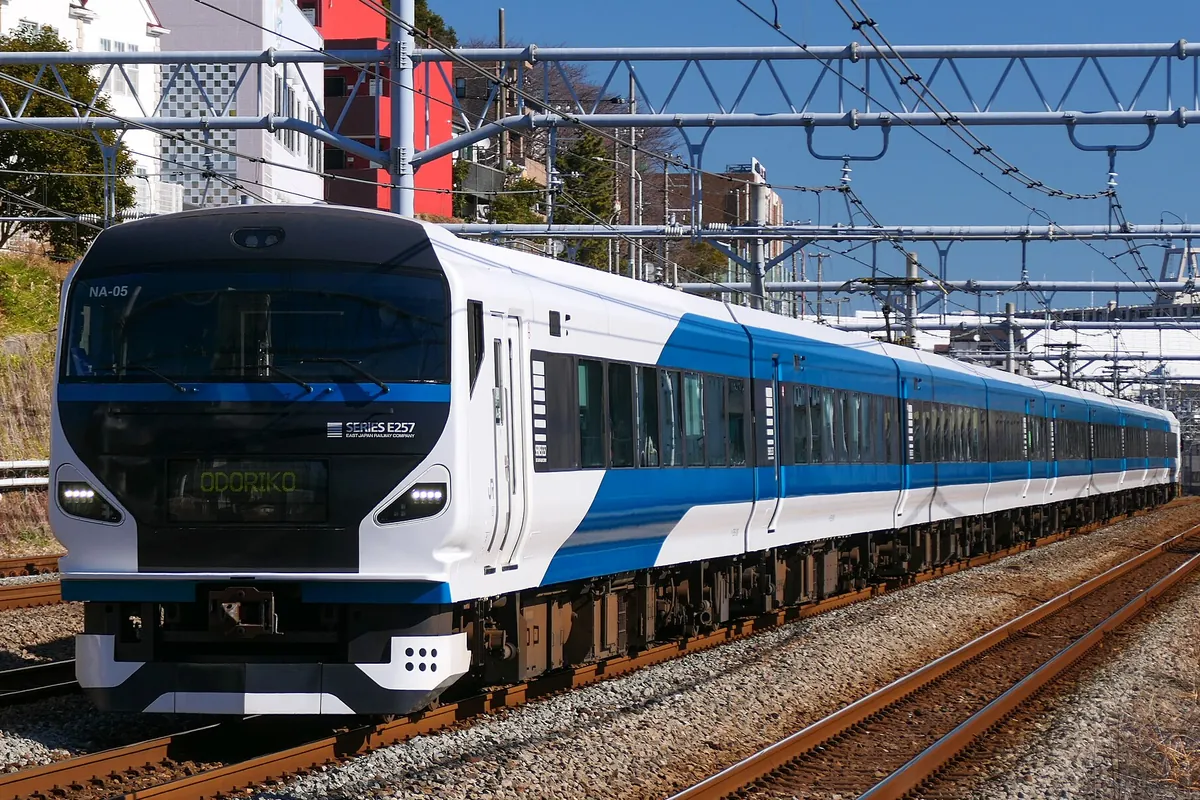 「ODORIKO」の表示を出した青と白の塗装のE257系特急車両が高架線路を走る様子の写真