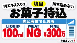 飛行機のお菓子持ち込みは肉入りが検疫で没収・罰金300万円以下