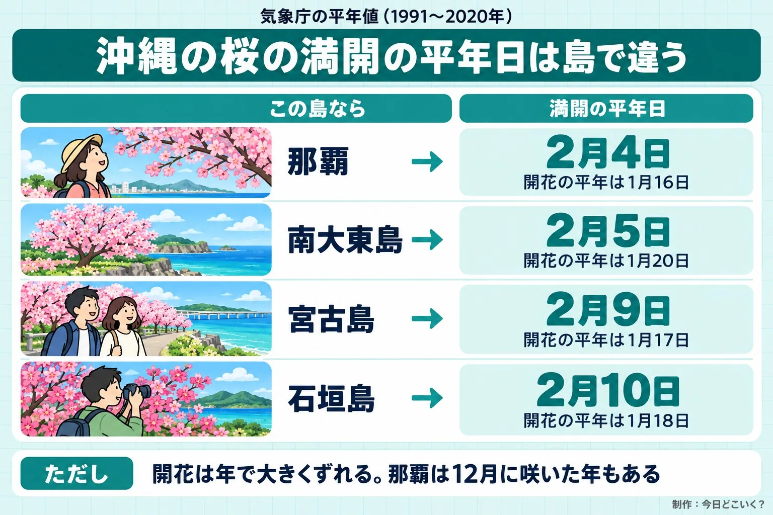 気象庁の平年値（1991〜2020年）。沖縄の桜の満開の平年日は島で違う。この島なら。満開の平年日。那覇。2月4日。開花の平年は1月16日。南大東島。2月5日。開花の平年は1月20日。宮古島。2月9日。開花の平年は1月17日。石垣島。2月10日。開花の平年は1月18日。ただし 開花は年で大きくずれる。那覇は12月に咲いた年もある。今日どこいく？が作ったイラスト図解（状況→目安の早見表）