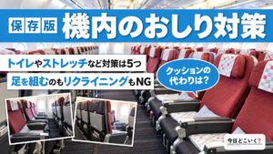 飛行機に乗ってるとおしりが痛い！対策とおすすめグッズ紹介