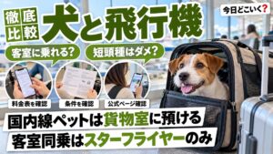 ペット連れの飛行機は国内線6社で料金と短頭種の扱いが違う