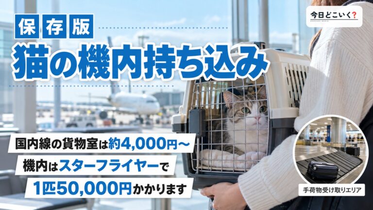 飛行機の機内に猫を持ち込む方法とは?料金や乗り方を解説!