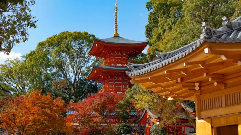 六甲高山植物園のリンドウと紅葉は11月まで・月曜は子ども無料