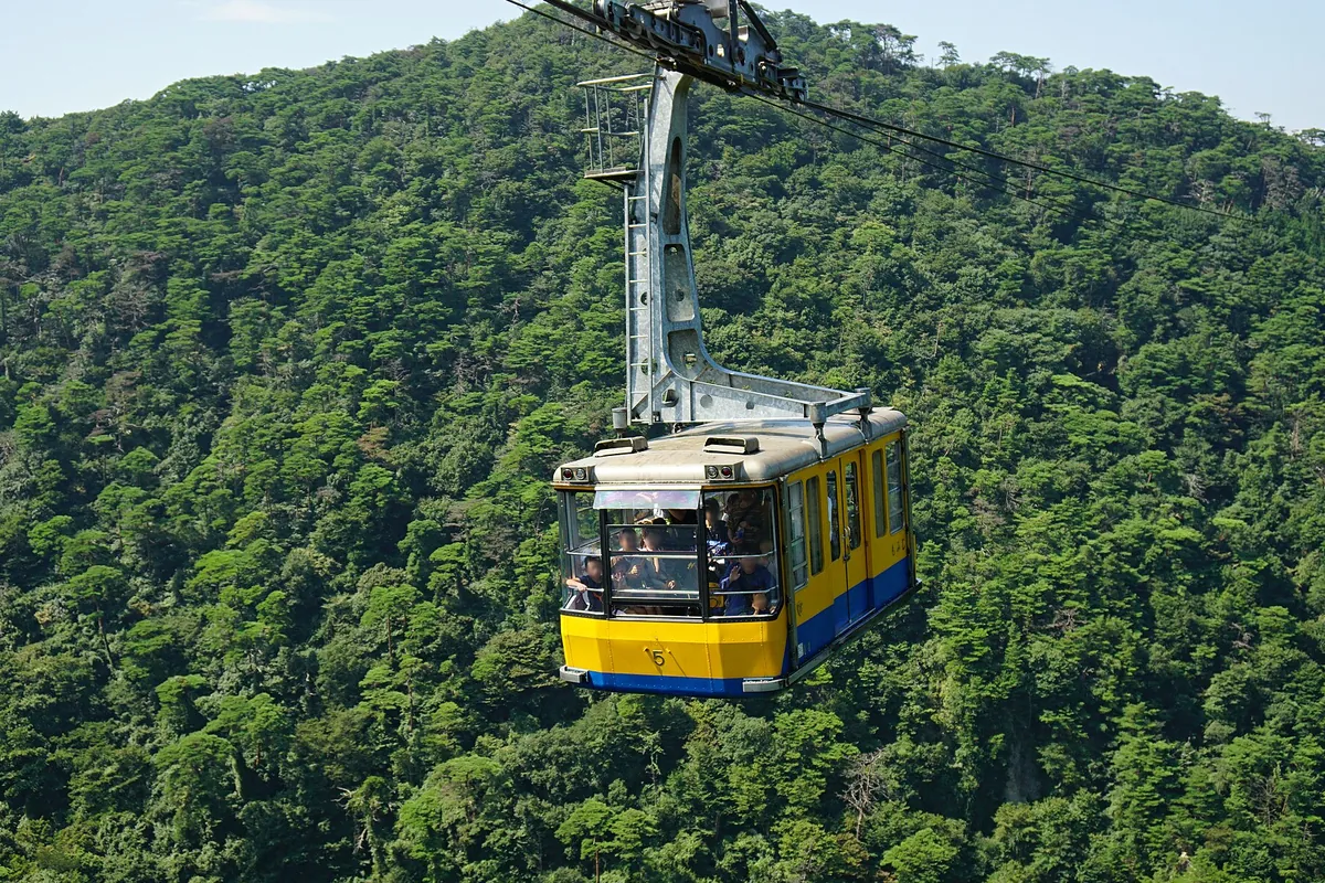 緑豊かな山の斜面の上空を、黄色と青色の六甲有馬ロープウェーのゴンドラが乗客を乗せて進む様子の写真
