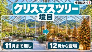 ROKKO森の音ミュージアムワンダークリスマスはツリーが12月1日から