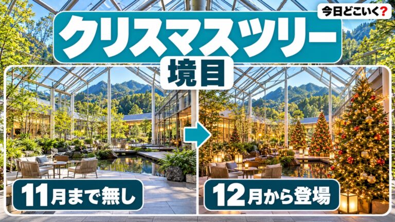 ROKKO森の音ミュージアムワンダークリスマスはツリーが12月1日から