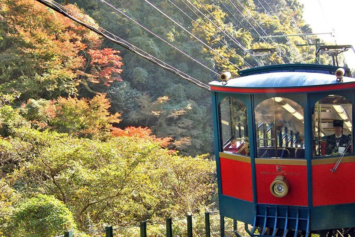紅葉の山道を走る赤と緑の六甲ケーブルカーの車両を後方から写した写真