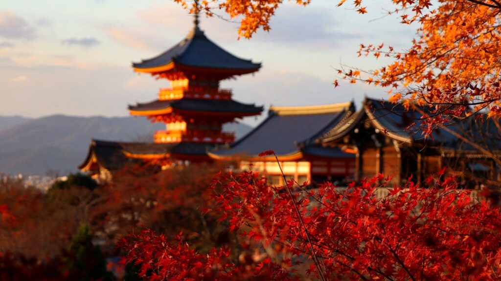 観光地の様子（国道24号寺田拡幅）