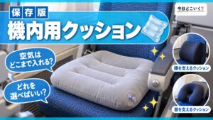 飛行機の座席、エコノミーでもクッション1つで快適シートになる！？