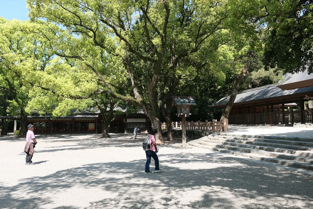 大きな木々に囲まれた神社の境内で、社殿の屋根と石段、玉砂利の参道が写る写真