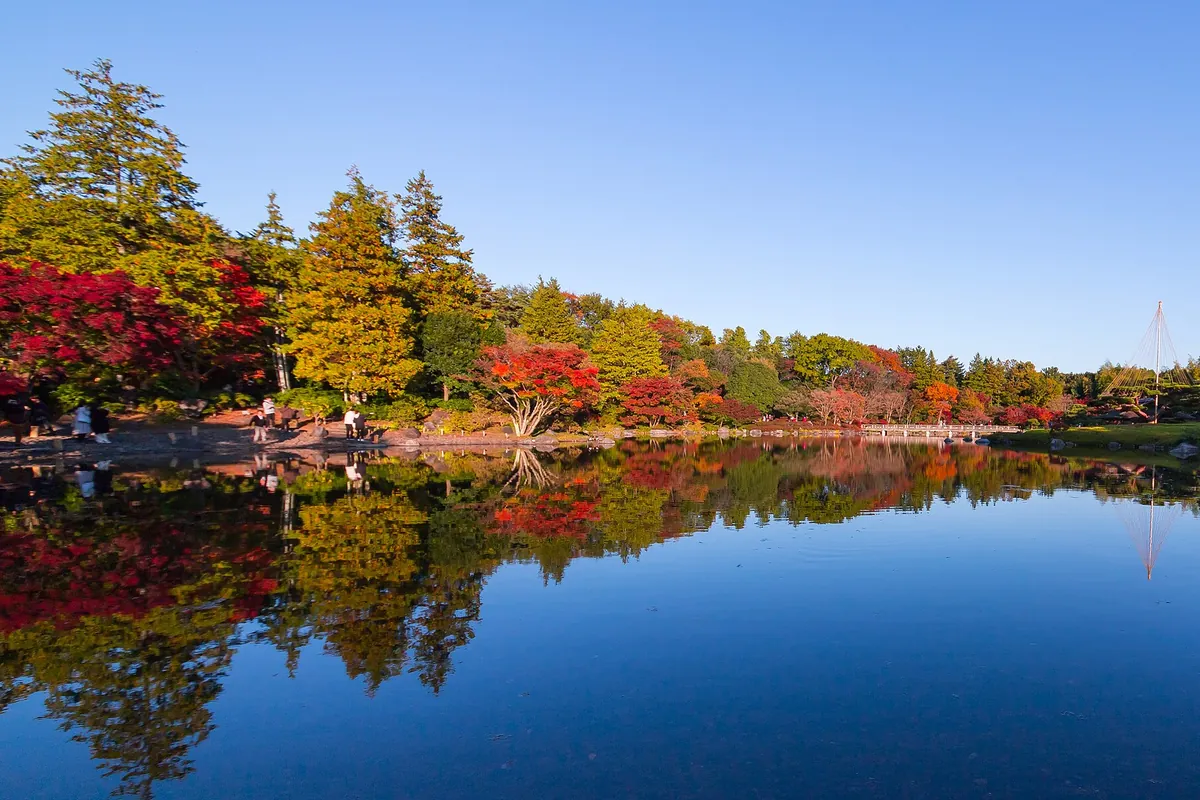 昭和記念公園の日本庭園で、紅葉した木々と池の湖畔の景色が水面に映り込む様子の写真