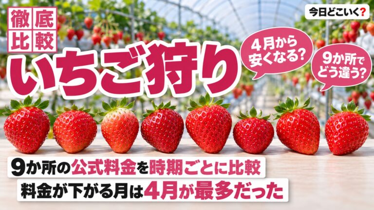 いちご狩りの料金は何月から安い？9か所の公式で4月が最多
