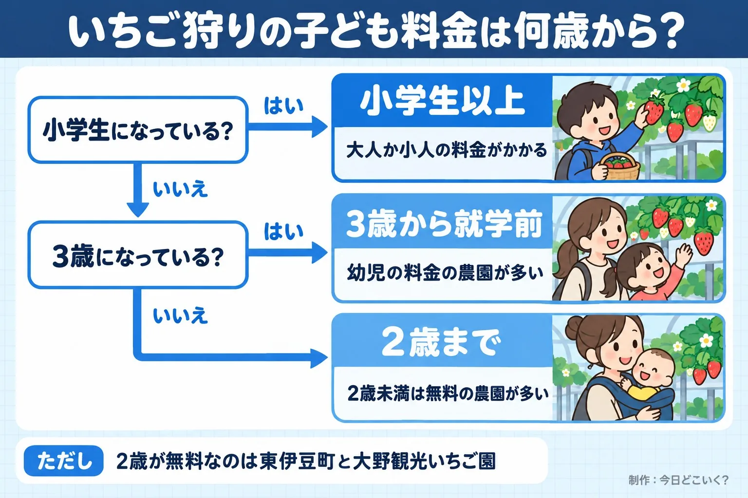 いちご狩りの子ども料金は何歳から？。小学生になっている？。3歳になっている？。小学生以上。大人か小人の料金がかかる。3歳から就学前。幼児の料金の農園が多い。2歳まで。2歳未満は無料の農園が多い。ただし 2歳が無料なのは東伊豆町と大野観光いちご園。今日どこいく？が作ったイラスト図解（はい／いいえの判定）