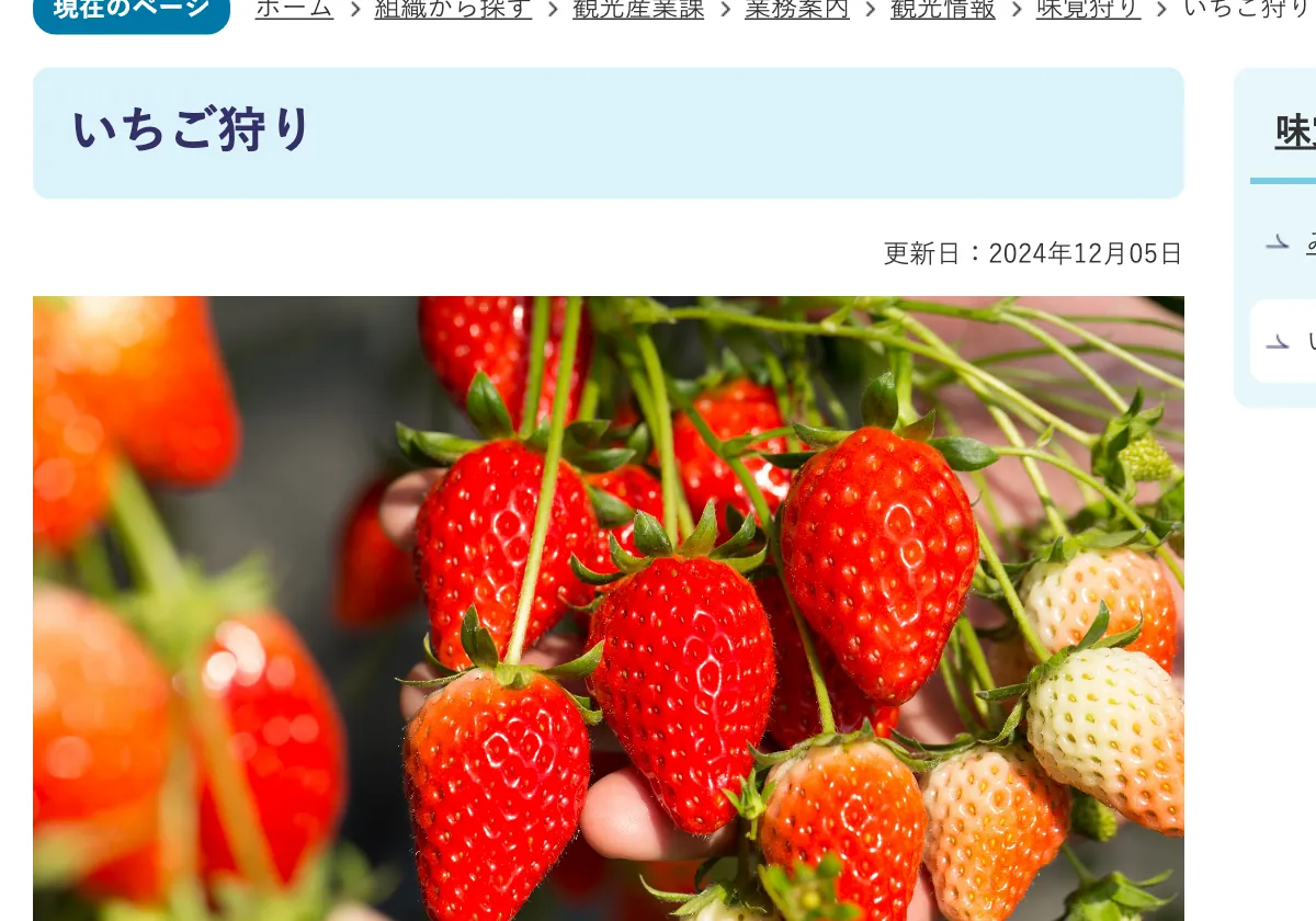 東伊豆町熱川温泉のいちご狩り時期別料金表の画面