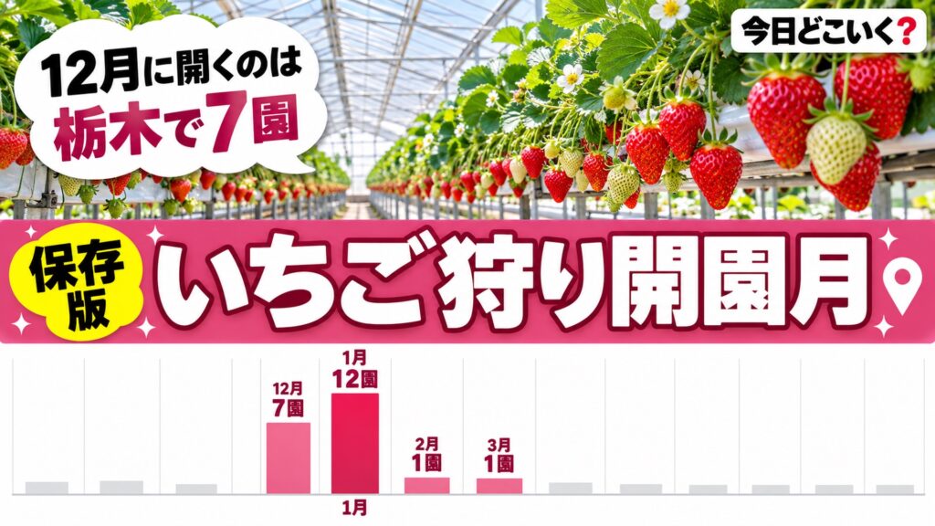 いちご狩りはいつから?栃木21園の開園日は12月が7園で1月が最多 図の中の文字: 12月に開くのは、栃木で7園、12月 7園、1月 12園、2月 1園、3月 1園