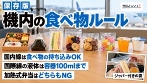 飛行機に食べ物の持ち込みはOK？国内線と国際線ルールを解説