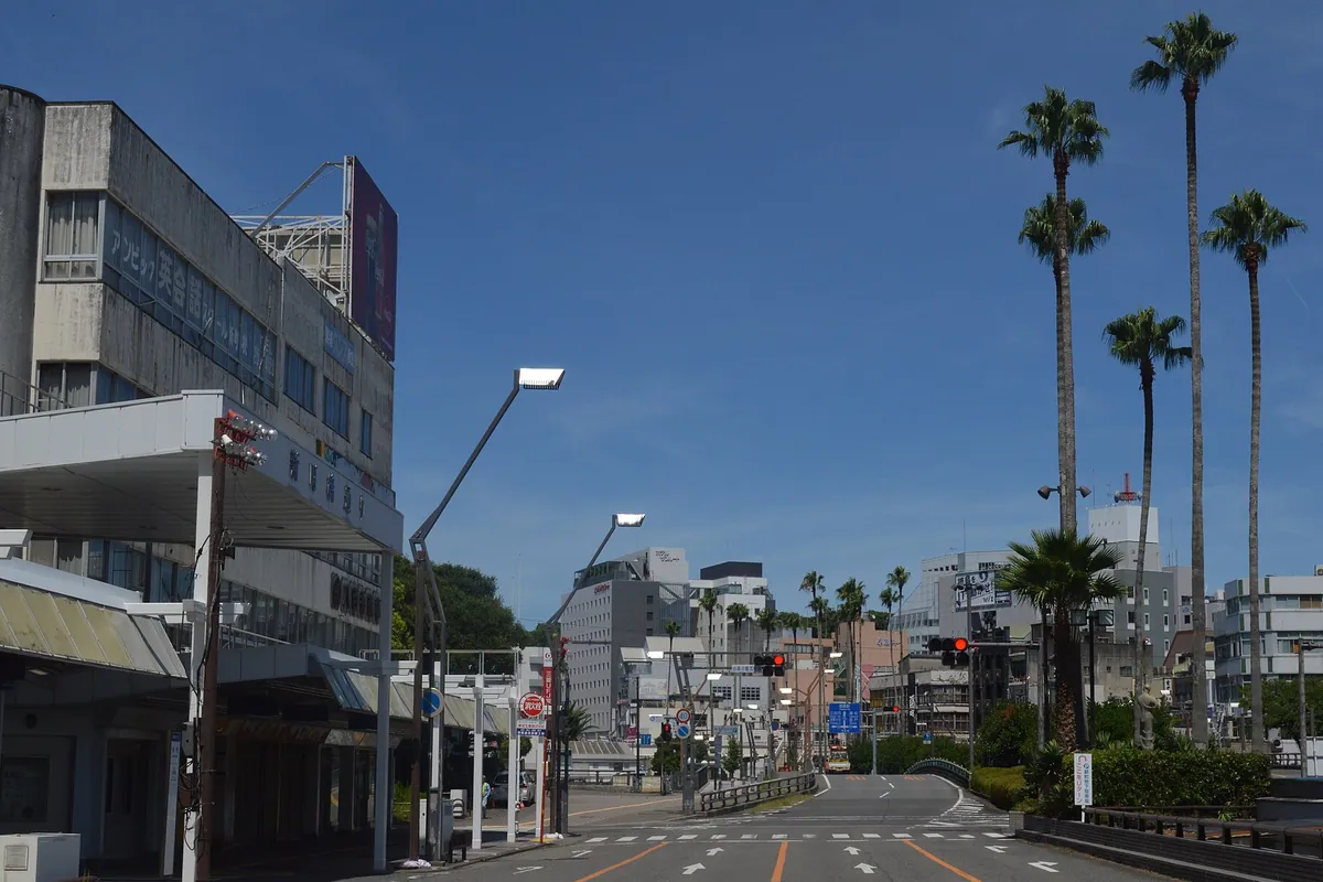徳島市内の交差点から続く大通りに信号機とヤシの木が並び、奥に高層ビルが見える道路の写真