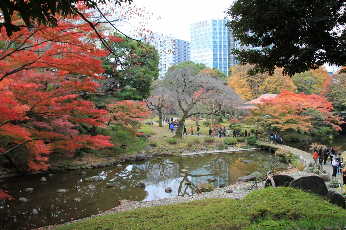 紅葉した木々に囲まれた池のほとりを多くの人が歩く和風庭園の風景写真