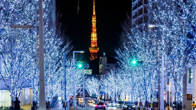 東京ドイツ村イルミネーションは10月31日から大人1,500円