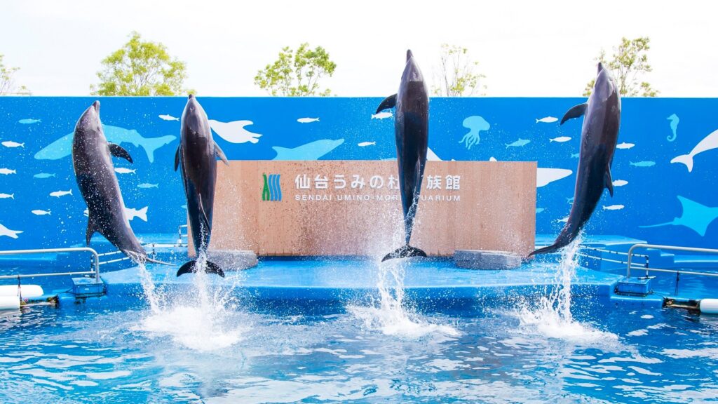 水族館（うみの杜水族館アンパンマンペアチケット）