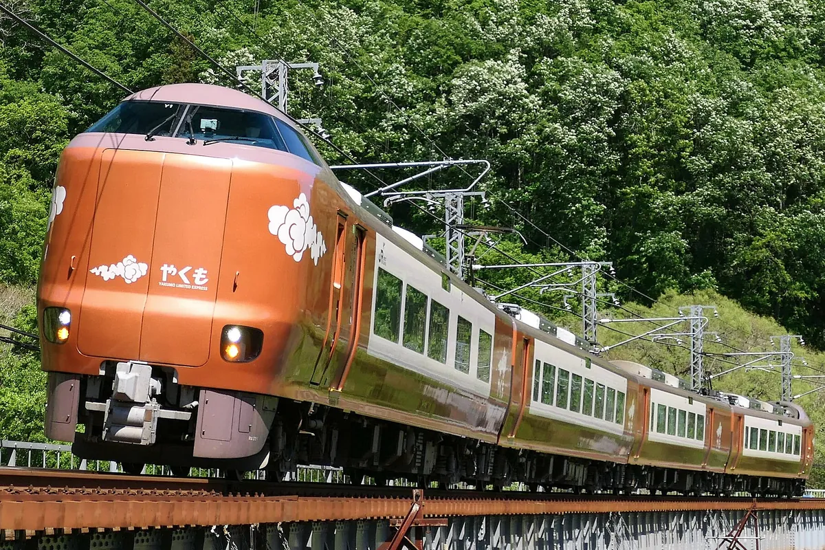 緑の木々を背景に高架橋を走る特急やくも273系電車の先頭車両を正面から写した写真