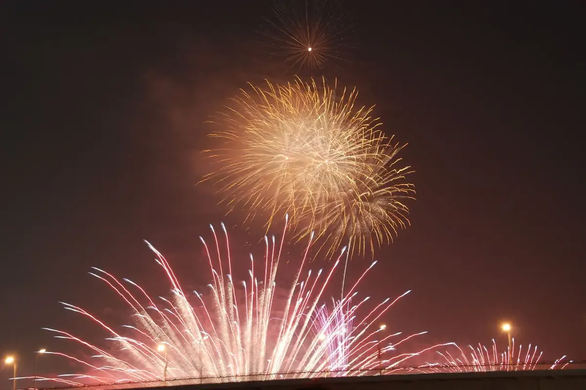 なにわ淀川花火大会で、夜空に大きく開く金色の花火と、その下で扇形に低く開く赤い花火、並んだ街灯の写真