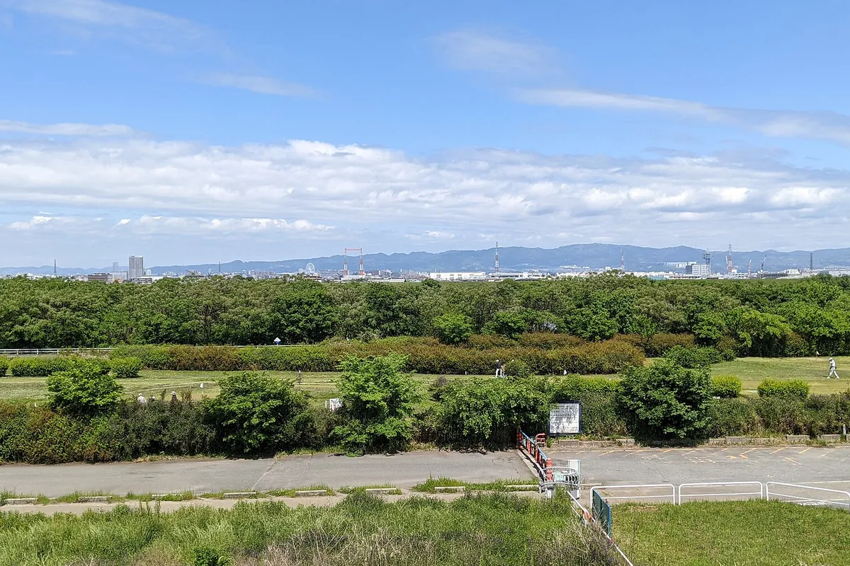 淀川の堤防から見渡す河川敷で、芝生と木々の緑が広がり奥に市街地が見える写真