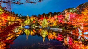 よみうりランドイルミネーションは15時入園3,100円で観覧車は対象外