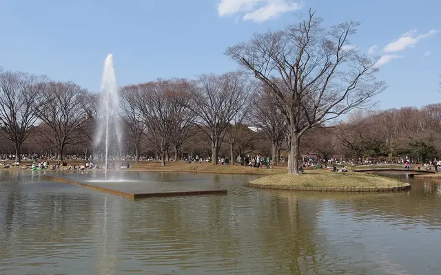 代々木公園の写真