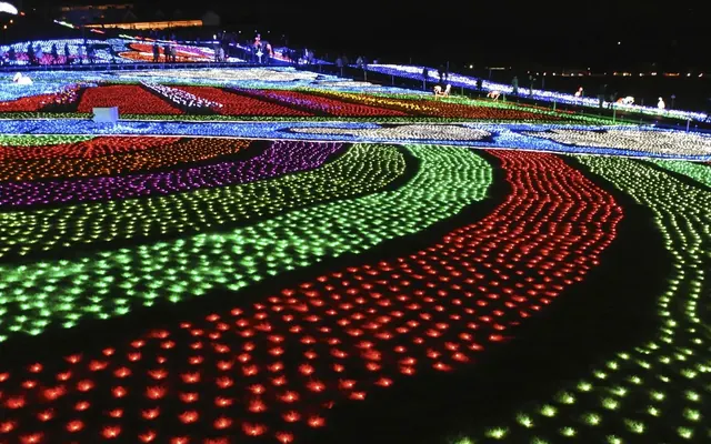 東京ドイツ村イルミネーションの写真