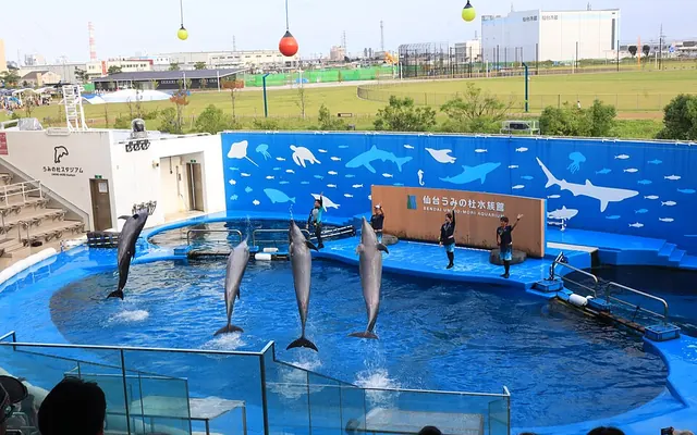 仙台うみの杜水族館の写真